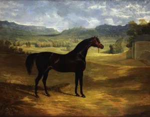 Jack Spigot, a Dark Bay Racehorse in a Paddock at Bolton Hall, 1824 (oil on canvas) Jack Spigot, a Dark Bay Racehorse in a Paddock at Bolton Hall, 1824 (oil on canvas)