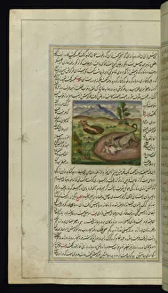 A jackal devours a hare from Lights of Canopus, 1847 (ink and pigment on paper) A jackal devours a hare from Lights of Canopus, 1847 (ink and pigment on paper)