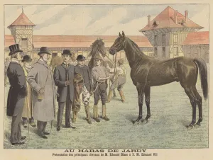 At the Jardy stud farm outside Paris (colour litho) At the Jardy stud farm outside Paris (colour litho)