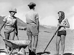 Jewish Youth Working on the Land, Israel, c.1950 (b/w photo) Jewish Youth Working on the Land, Israel, c.1950 (b/w photo)