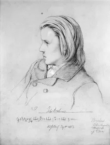 Johannes Brahms (1833-97) aged twenty, 1853 (pencil on paper) Johannes Brahms (1833-97) aged twenty, 1853 (pencil on paper)