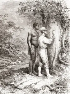 Jules Crevaux, during his exploration of French Guiana in 1878, carving his initials Jules Crevaux, during his exploration of French Guiana in 1878, carving his initials