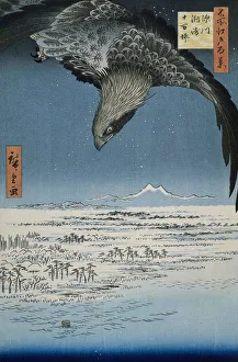 The Jumantsubo plain in Susaki near Fukagawa, 1857 (colour woodcut) The Jumantsubo plain in Susaki near Fukagawa, 1857 (colour woodcut)