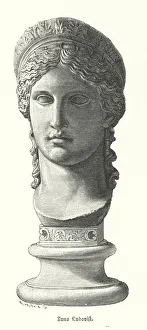 Juno Ludovisi, ancient Roman colossal marble head depicting Antonina Minor, daughter of Mark Antony and Octavia Minor Juno Ludovisi, ancient Roman colossal marble head depicting Antonina Minor, daughter of Mark Antony and Octavia Minor
