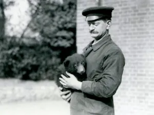 A Keeper holds a Sloth Bear cub at London Zoo, August 1921 (b/w photo) A Keeper holds a Sloth Bear cub at London Zoo, August 1921 (b/w photo)