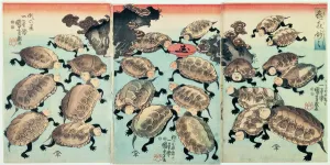 Kinki-Myo-Myo (Very, Very Droll) (woodblock print) Kinki-Myo-Myo (Very, Very Droll) (woodblock print)