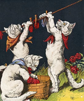 Kittens washing their mittens
