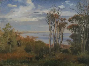 Kolas Wood. Vejrhoj, 1846 (oil on paper laid down on canvas) Kolas Wood. Vejrhoj, 1846 (oil on paper laid down on canvas)