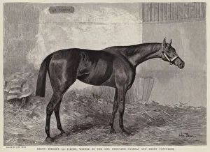 La Fleche, multiple Classic winning racehorse owned by Baron Maurice de Hirsch (litho) La Fleche, multiple Classic winning racehorse owned by Baron Maurice de Hirsch (litho)