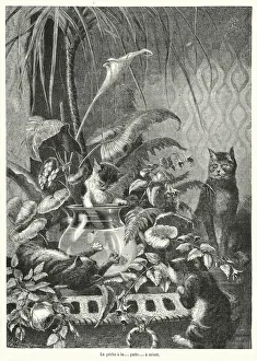 La peche a la... patte... a minet (engraving) La peche a la... patte... a minet (engraving)
