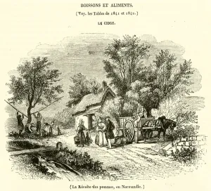 La Recolte des pommes, en Normandie (engraving) La Recolte des pommes, en Normandie (engraving)