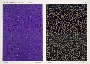 Lampas, from Woven and Brocaded Upholstery Fabrics by Leon Moussinac Lampas, from Woven and Brocaded Upholstery Fabrics by Leon Moussinac