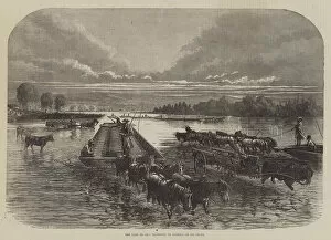 Oil Industry Gallery: The Land of Oil, Transport of Barrels on Oil Creek (engraving)