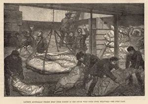 Landing Australian frozen meat in the South West India Dock, Millwall (engraving) Landing Australian frozen meat in the South West India Dock, Millwall (engraving)