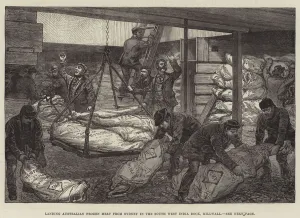 Landing Australian Frozen Meat from Sydney in the South West India Dock, Millwall (engraving) Landing Australian Frozen Meat from Sydney in the South West India Dock, Millwall (engraving)