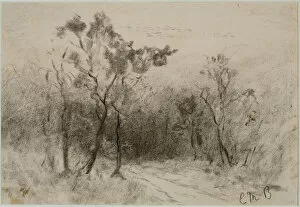 Landscape with Path (#51), c. 1880s (charcoal on paper)