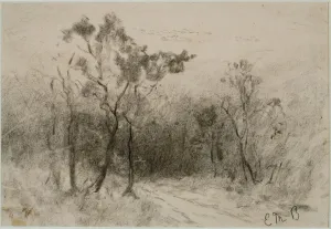 Landscape with Path (#51), c. 1880s (charcoal on paper) Landscape with Path (#51), c. 1880s (charcoal on paper)
