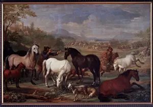 Landscapes with Horses Painting by Jan Hamilton (17th century) Dim 60x90 cm Genes Landscapes with Horses Painting by Jan Hamilton (17th century) Dim 60x90 cm Genes
