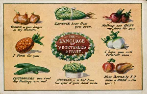 The Language of Vegetables and Fruit (colour litho) The Language of Vegetables and Fruit (colour litho)