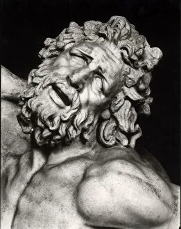 Grimace Gallery: Laocoon (marble) (detail of 217181) (b / w photo)