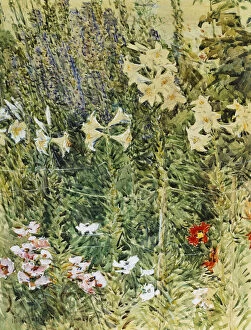 Frederick Childe Hassam Gallery: Larkspurs and Lillies, 1893 (watercolour and gouache on paper)