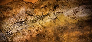 Cave Painting Collection: Lascaux cave painting, Bordeaux, France (photo)