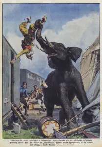 Launched into the air, overwhelmed and fatally trampled by an angry elephant (colour litho) Launched into the air, overwhelmed and fatally trampled by an angry elephant (colour litho)