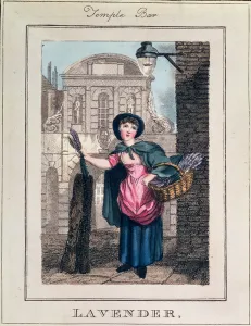 Lavender, Temple Bar, from Cries of London, pub. by Richard Phillips (1778-1851) 1804 Lavender, Temple Bar, from Cries of London, pub. by Richard Phillips (1778-1851) 1804