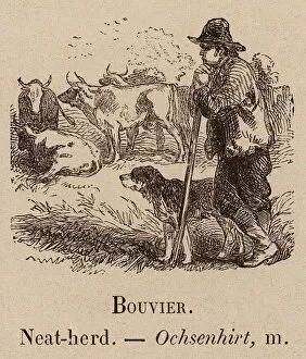Le Vocabulaire Illustre: Bouvier; Neat-herd; Ochsenhirt (engraving)