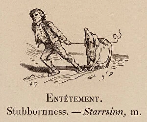 Le Vocabulaire Illustre: Entetement; Stubbornness; Starrsinn (engraving)