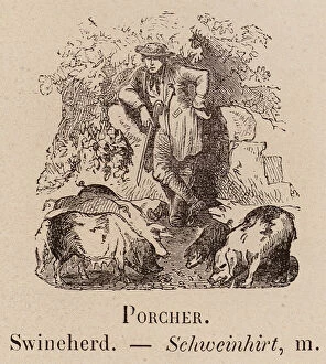 Le Vocabulaire Illustre: Porcher; Swineherd; Schweinhirt (engraving)