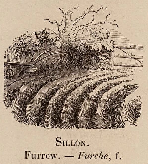 Le Vocabulaire Illustre: Sillon; Furrow; Furche (engraving)