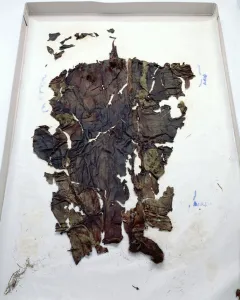 Leggings found with the Oetzi Iceman (goat hide) Leggings found with the Oetzi Iceman (goat hide)