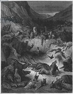 Les Animaux malades de la Pleste - The Animals Fallen Sick With the Plague - from ' Les Animaux malades de la Pleste - The Animals Fallen Sick With the Plague - from '