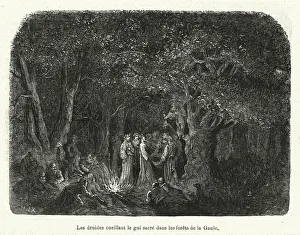 Les druides cueillant le gui sacre dans les forets de la Gaule (engraving) Les druides cueillant le gui sacre dans les forets de la Gaule (engraving)