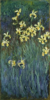 Les iris jaunes - Peinture de Claude Monet (1840-1926), huile sur toile, 1914-1917, 200x101 cm - (Yellow Irises)