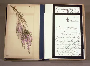 Letter from Queen Victoria (1819-1901) to Tsarevich Nikolai Alexandrovich (1868-1918 Letter from Queen Victoria (1819-1901) to Tsarevich Nikolai Alexandrovich (1868-1918