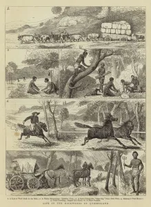 Life in the Backwoods of Queensland (engraving) Life in the Backwoods of Queensland (engraving)