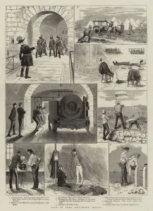 Officers Mess Gallery: Life in Fort Delimara, Malta (engraving)