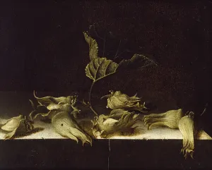 Still Life with Hazel-nuts, 1696 (oil on paper) Still Life with Hazel-nuts, 1696 (oil on paper)