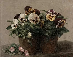 Still Life of Pansies and Daisies, 1889 (oil on canvas)