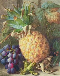 Still Life of a Pineapple and Grapes (w/c and gouache) Still Life of a Pineapple and Grapes (w/c and gouache)