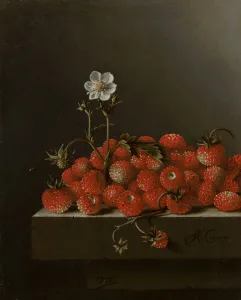 Still Life with Wild Strawberries, 1705 (oil on paper on panel) Still Life with Wild Strawberries, 1705 (oil on paper on panel)