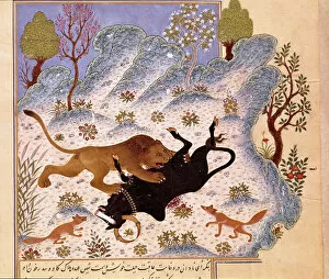 Lion attacking a bull Page of a Kalila and Dimna