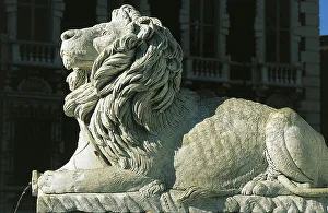 Lion, detail from the fountain in Piazza Aranci, Piazza Aranci, Massa, Tuscany, Italy Lion, detail from the fountain in Piazza Aranci, Piazza Aranci, Massa, Tuscany, Italy