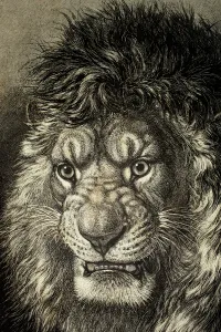 The Lion, King of Beasts, from El Mundo Ilustrado, published Barcelona The Lion, King of Beasts, from El Mundo Ilustrado, published Barcelona