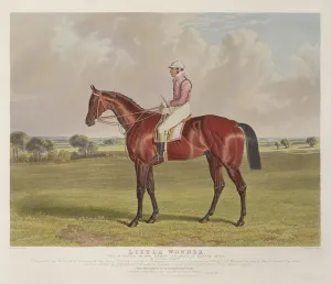 Little Wonder, the Winner of the Derby Stakes at Epsom, 1840 Little Wonder, the Winner of the Derby Stakes at Epsom, 1840