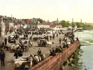 Livestock Market on the The Whitesands in Dumfries, pub. c Livestock Market on the The Whitesands in Dumfries, pub. c