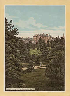 Llandrindod Wells: Gwalia Hotel Ltd (colour litho) Llandrindod Wells: Gwalia Hotel Ltd (colour litho)
