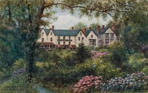 Llandrindod Wells, Rock Park Hotel (colour litho) Llandrindod Wells, Rock Park Hotel (colour litho)